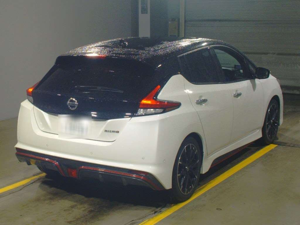 2018 Nissan Leaf ZE1[1]