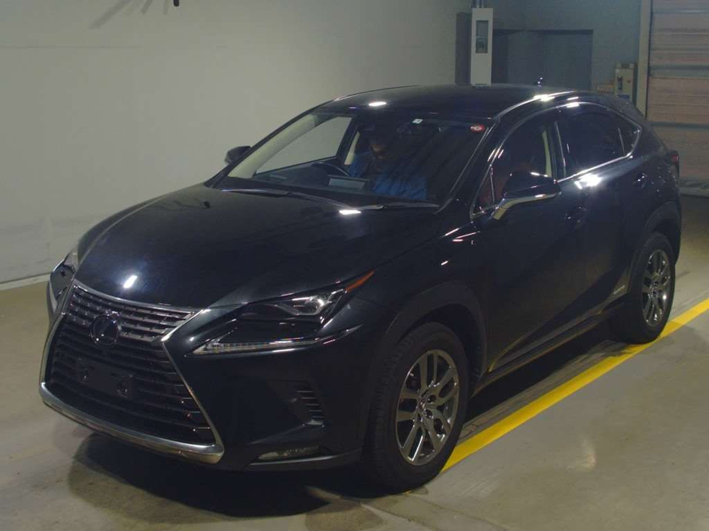 2019 Lexus NX AYZ15[0]