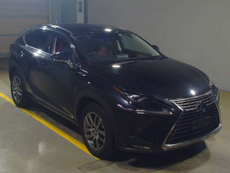 2019 Lexus NX