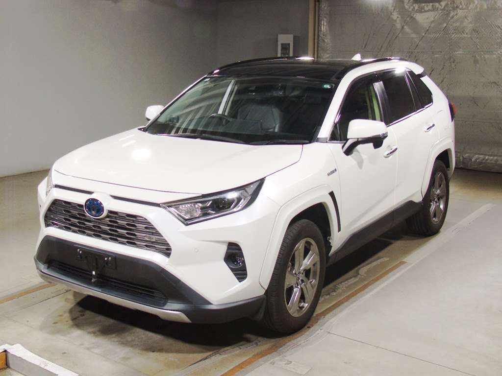 2019 Toyota RAV4 AXAH54[0]