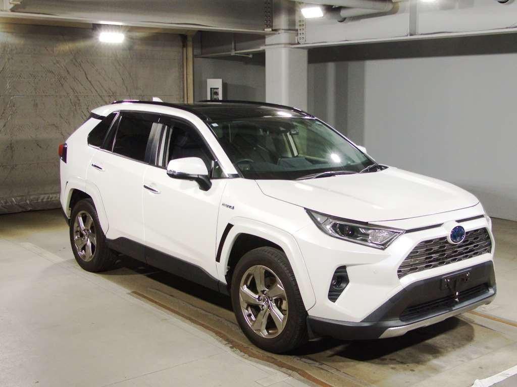 2019 Toyota RAV4 AXAH54[2]