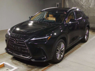 2023 Lexus NX