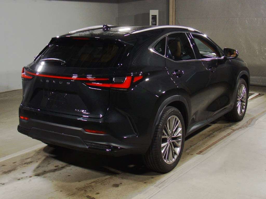 2023 Lexus NX AAZA20[1]