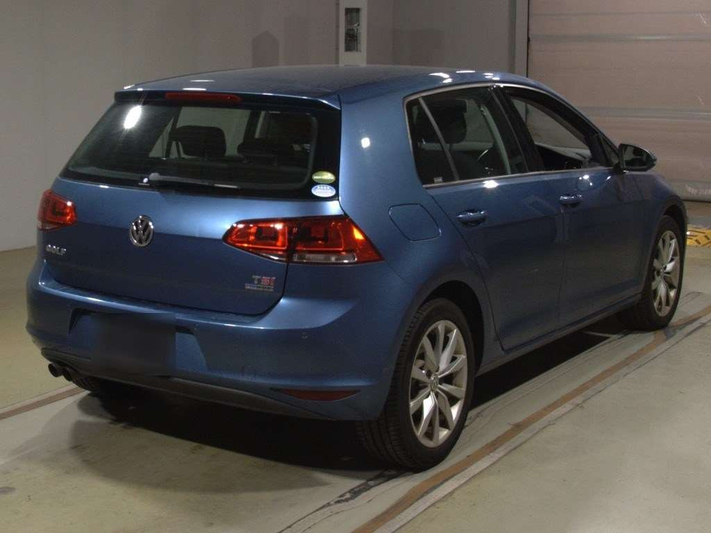 2013 Volkswagen Golf AUCPT[1]