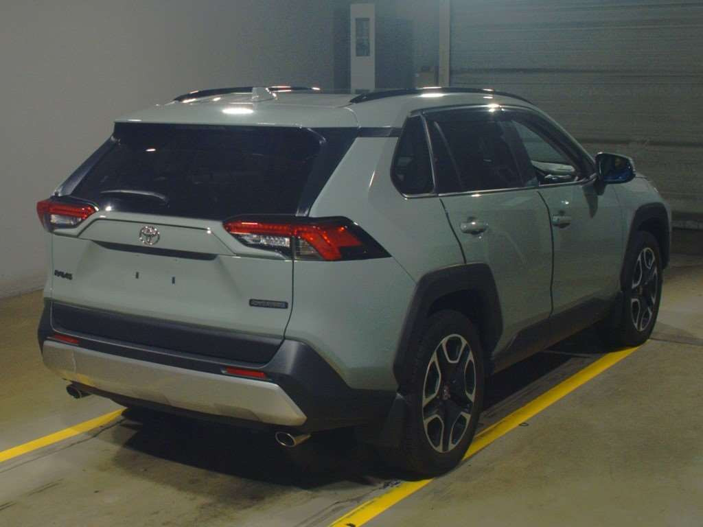 2019 Toyota RAV4 MXAA54[1]