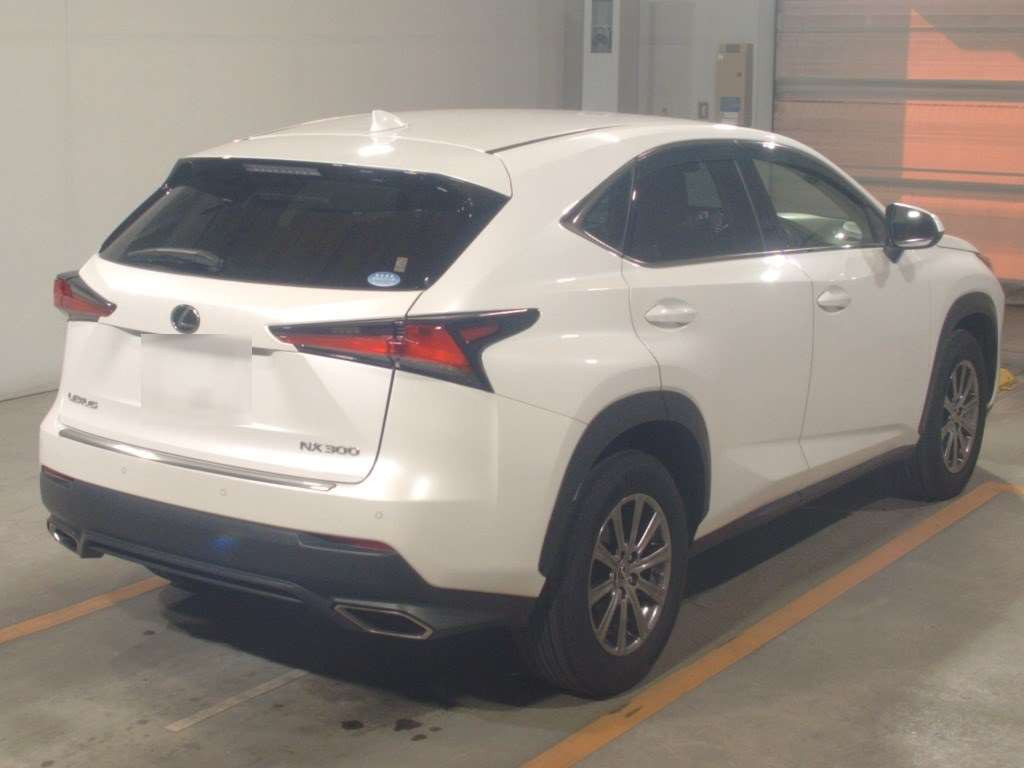 2018 Lexus NX AGZ10[1]