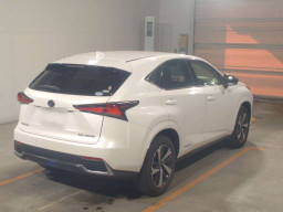 2019 Lexus NX