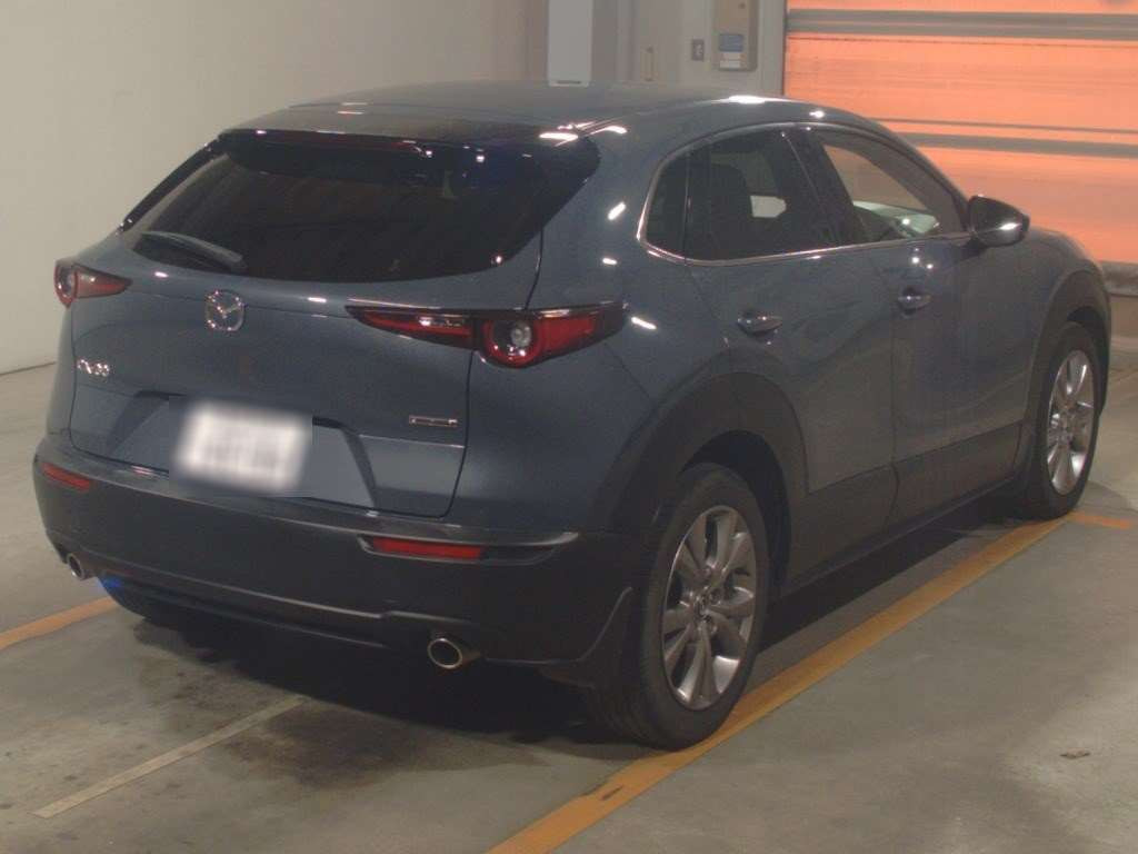 2020 Mazda CX-30 DM8P[1]