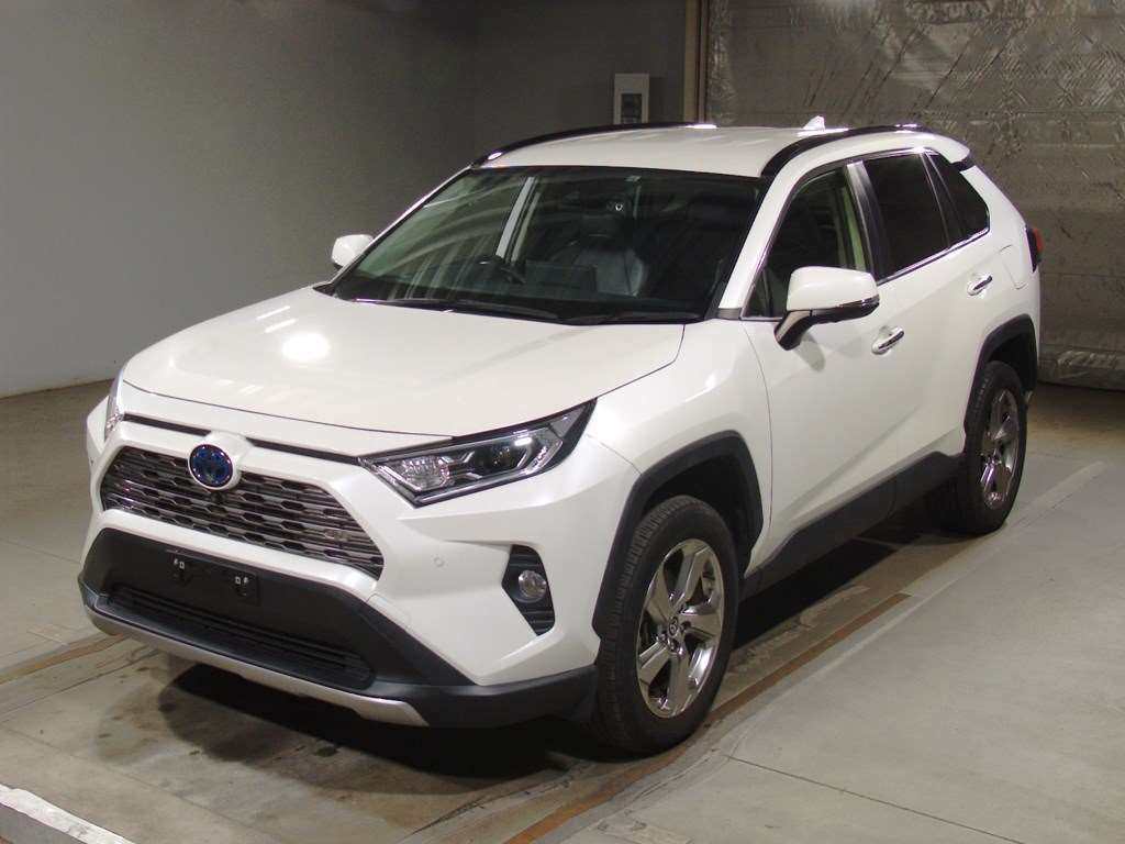 2020 Toyota RAV4 AXAH54[0]