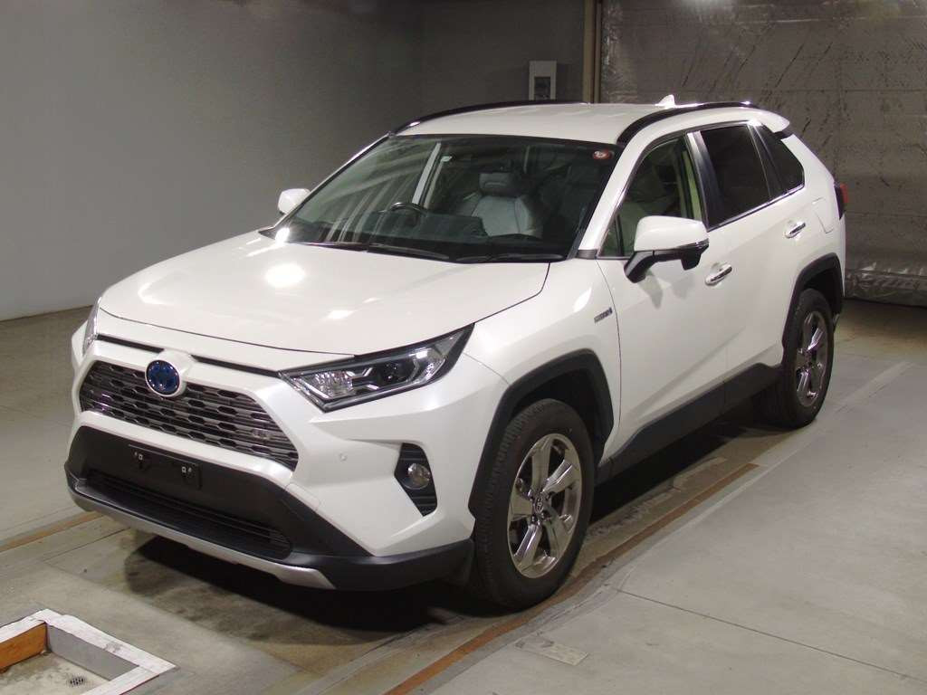 2019 Toyota RAV4 AXAH54[0]