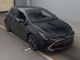 2019 Toyota Corolla Sports