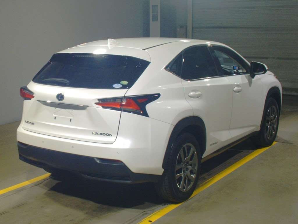 2014 Lexus NX AYZ15[1]