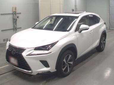 2020 Lexus NX