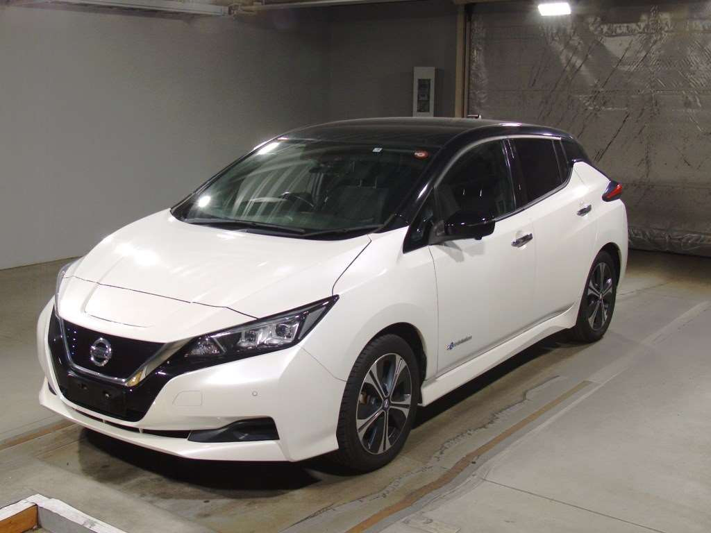 2019 Nissan Leaf ZE1[0]