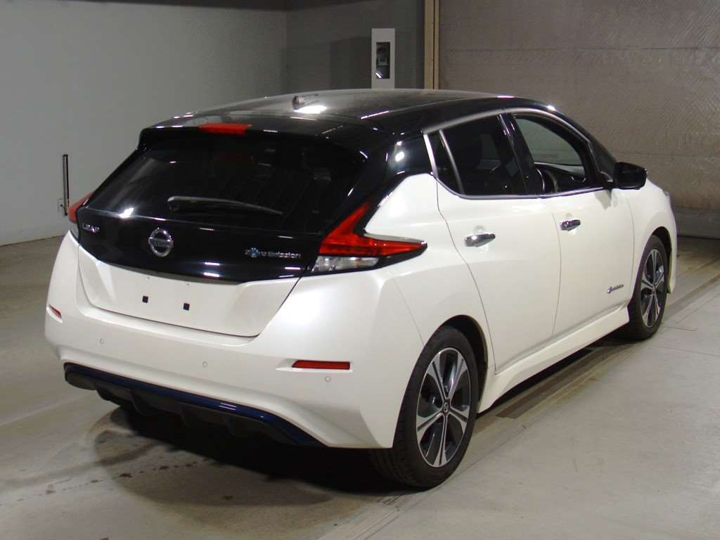 2019 Nissan Leaf ZE1[1]