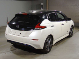 2019 Nissan Leaf