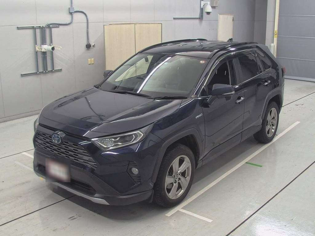 2019 Toyota RAV4 AXAH54[0]