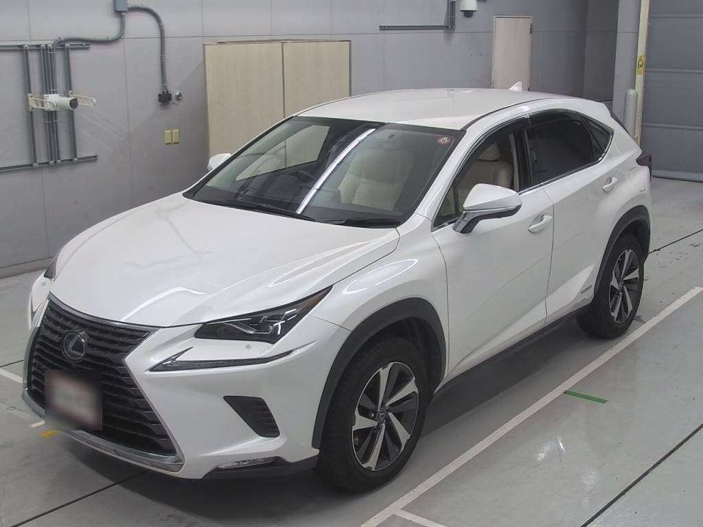 2019 Lexus NX AYZ10[0]