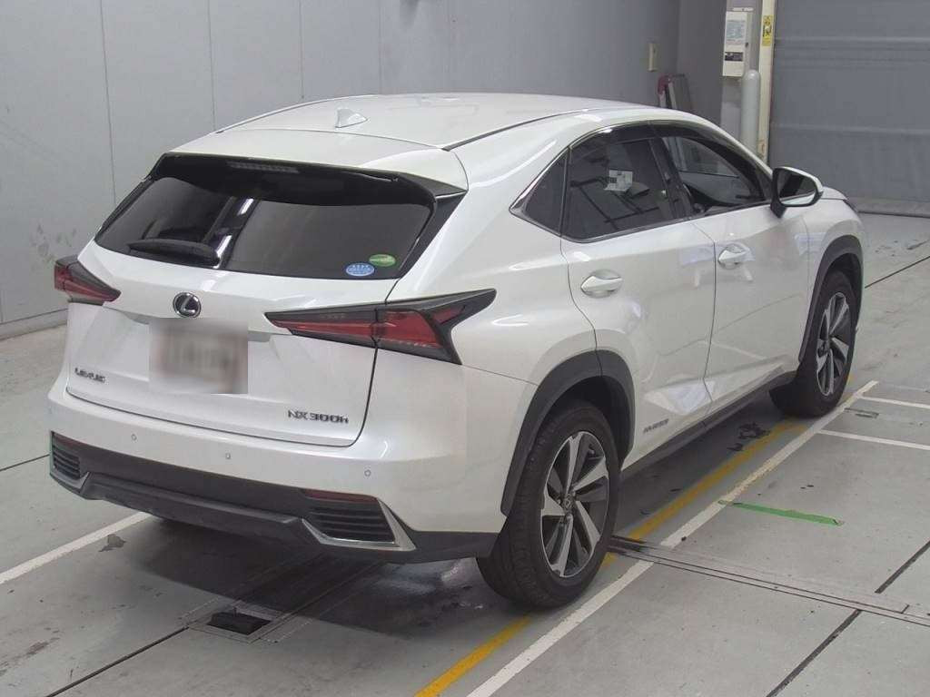 2019 Lexus NX AYZ10[1]