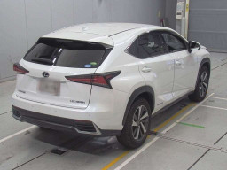 2019 Lexus NX