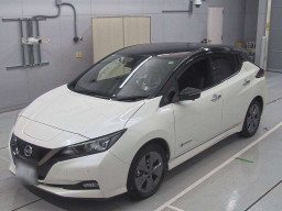 2021 Nissan Leaf