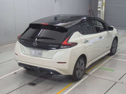 2021 Nissan Leaf