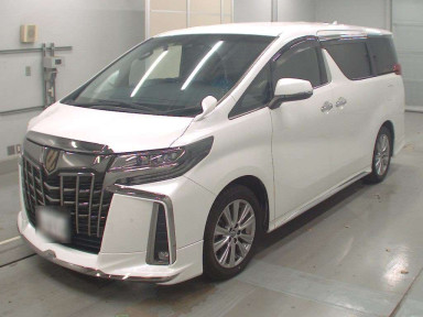 1991 Toyota Alphard