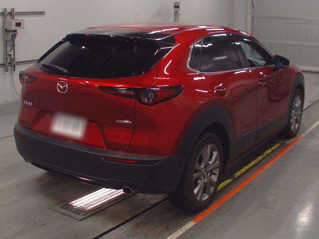 2019 Mazda CX-30 DM8P[1]