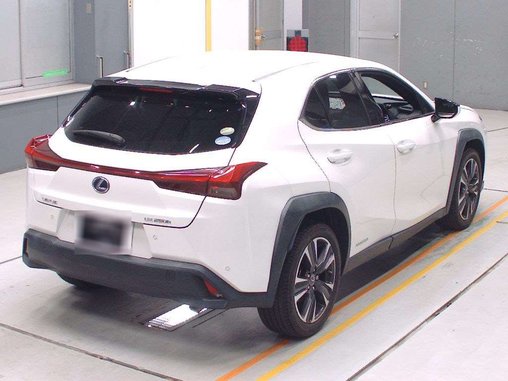 2019 Lexus UX MZAH10[1]