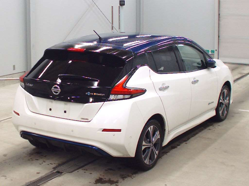 2019 Nissan Leaf ZE1[1]