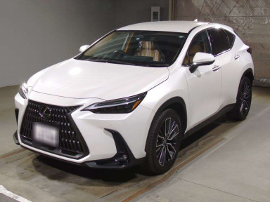 2022 Lexus NX