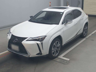 2021 Lexus UX