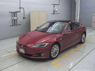 2019 Others MODEL S