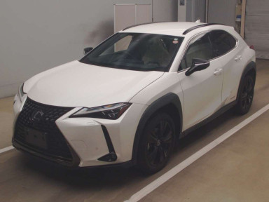 2021 Lexus UX