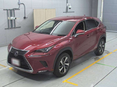 2020 Lexus NX