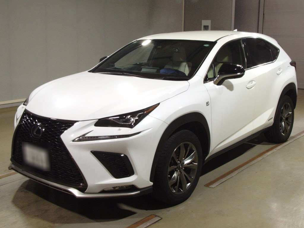 2019 Lexus NX AYZ15[0]