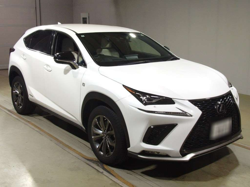 2019 Lexus NX AYZ15[2]