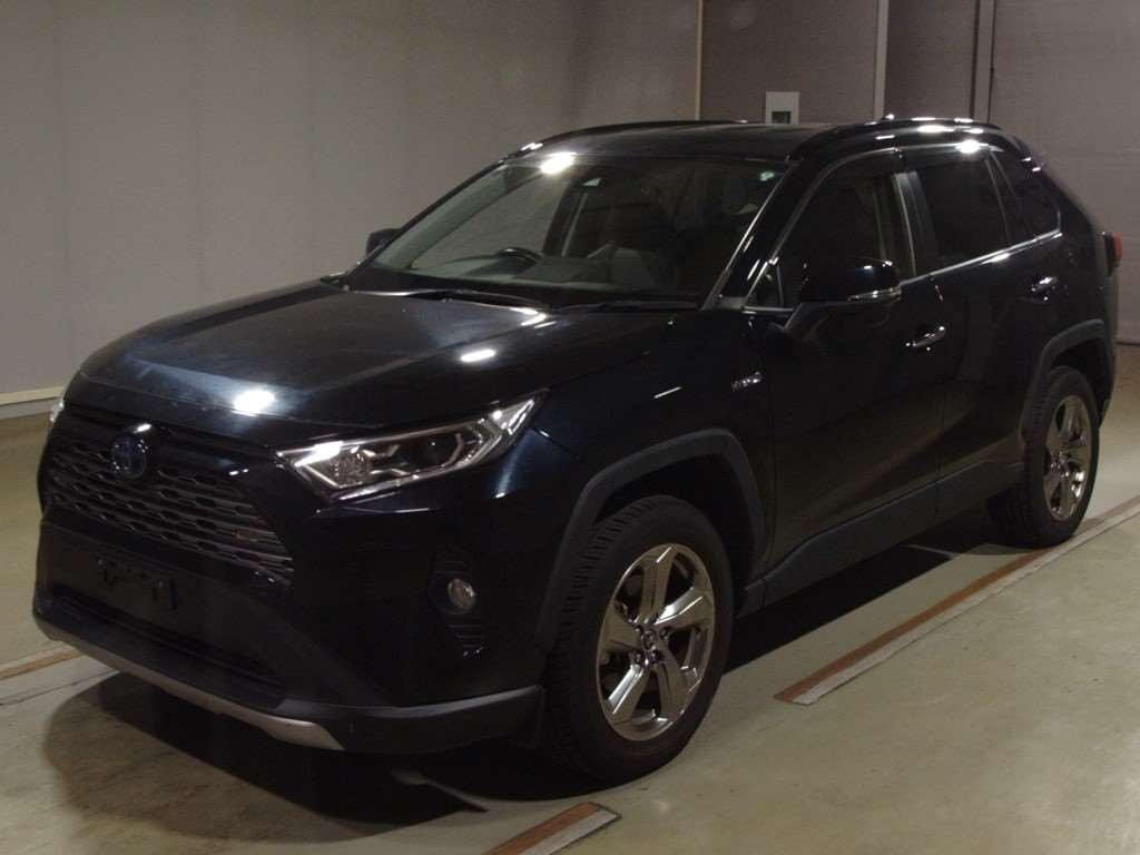 2019 Toyota RAV4 AXAH54[0]