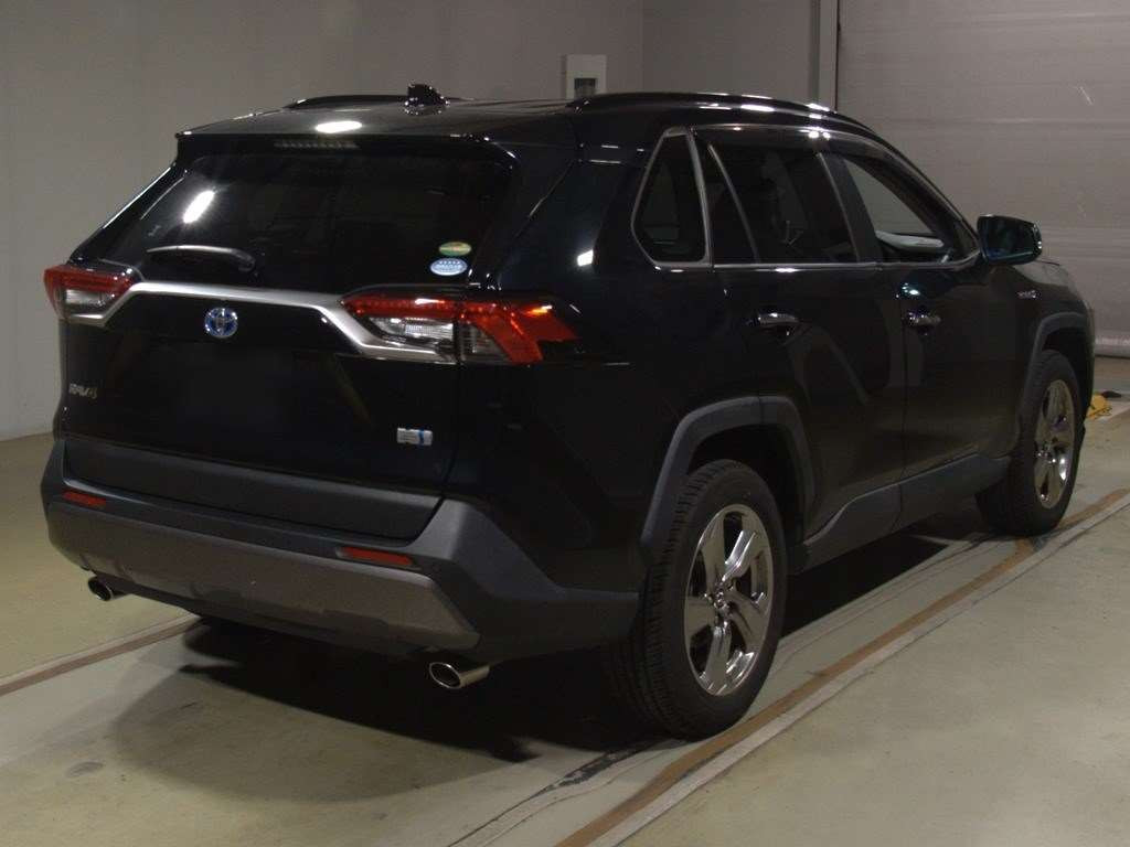 2019 Toyota RAV4 AXAH54[1]