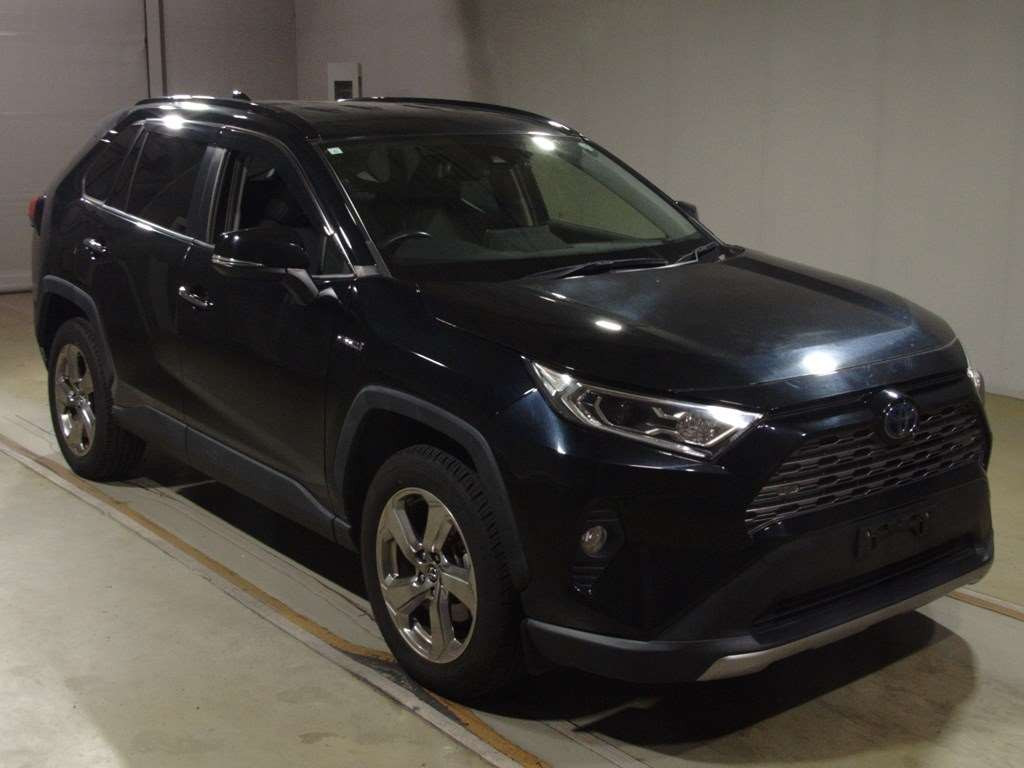 2019 Toyota RAV4 AXAH54[2]