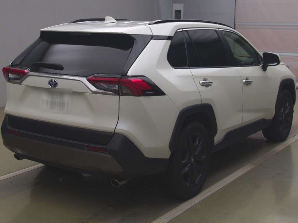 2019 Toyota RAV4 AXAH54[1]