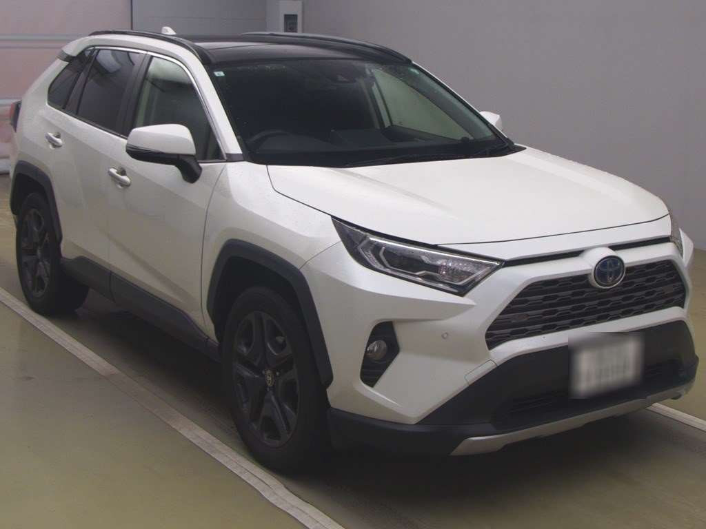 2019 Toyota RAV4 AXAH54[2]