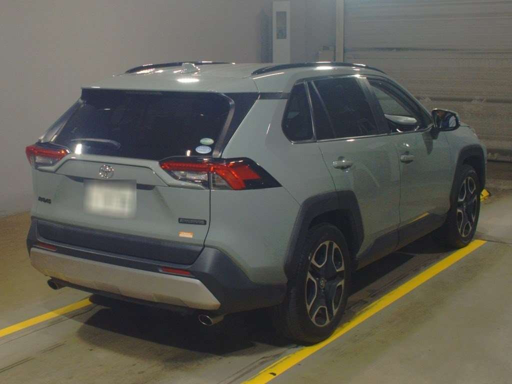 2019 Toyota RAV4 MXAA54[1]