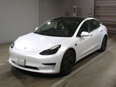 2021 Others MODEL 3