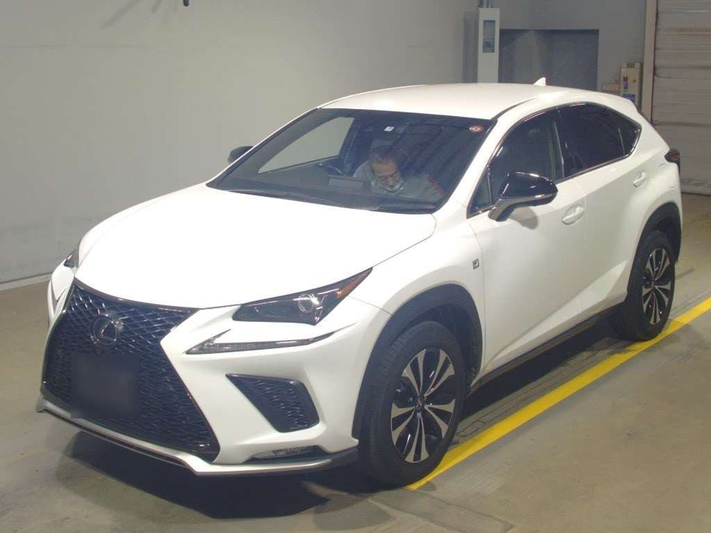 2019 Lexus NX AGZ10[0]