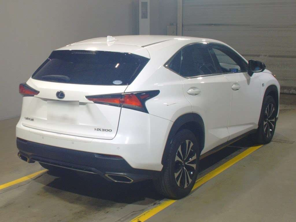 2019 Lexus NX AGZ10[1]