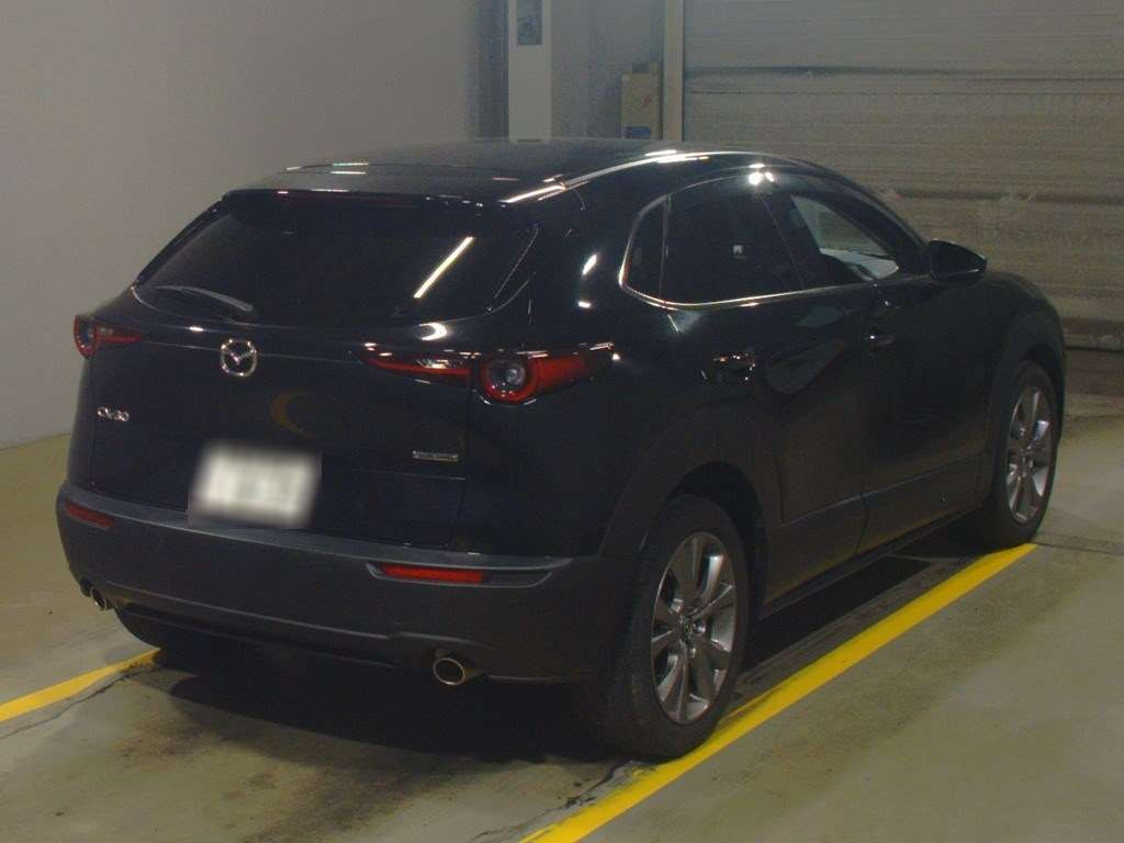 2020 Mazda CX-30 DMEP[1]