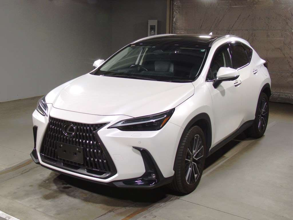 2022 Lexus NX AAZH25[0]