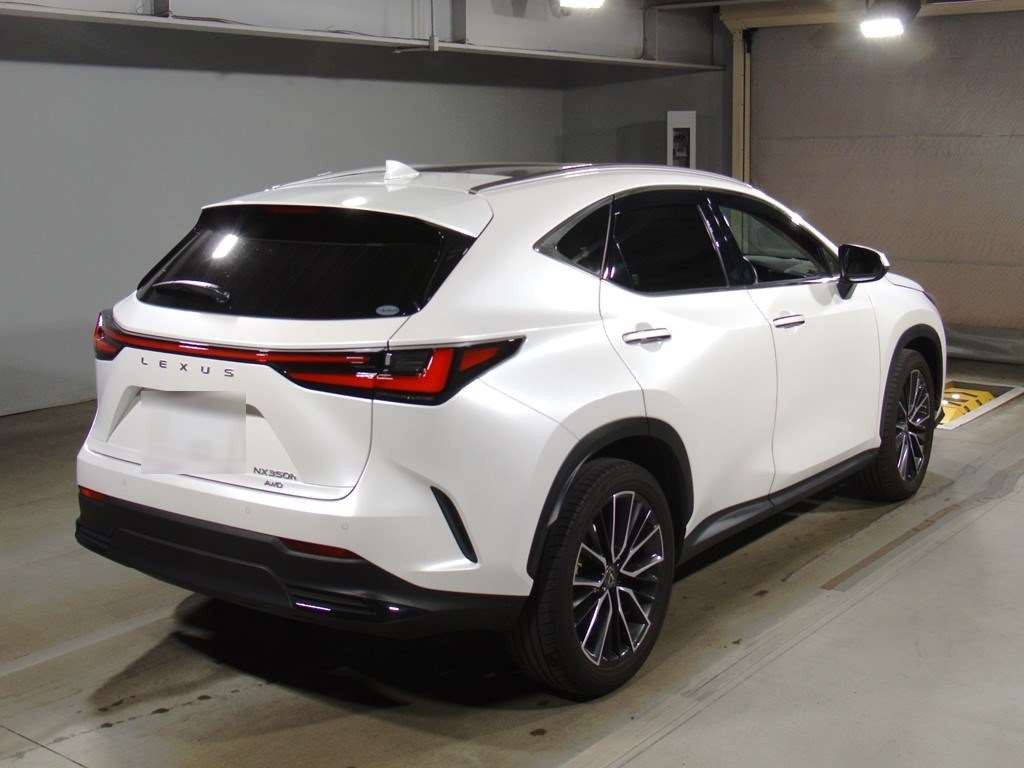 2022 Lexus NX AAZH25[1]