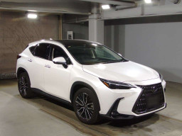 2022 Lexus NX